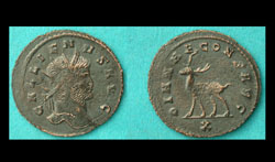 Gallienus, Zoo Issue, Stag Standing Left reverse